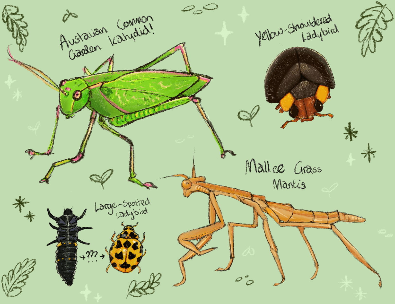 A digital artwork of a collection of different insects, including two ladybugs, a katydid and a mantis.