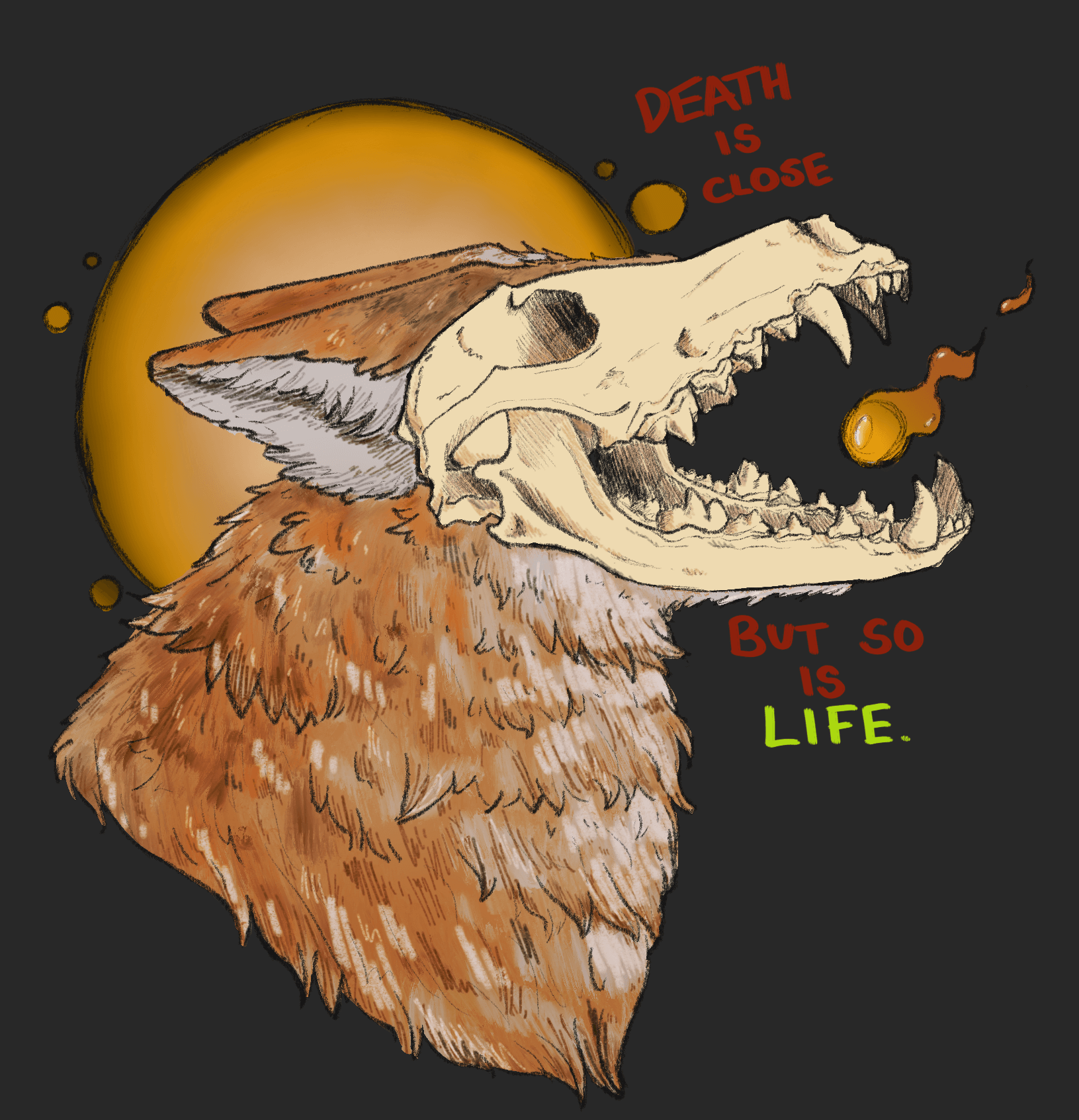 A digital artwork of a coyote, with fur on its neck but an exposed grinning skull alongside the words death is close, but so is life.