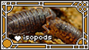 isopod love stamp